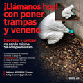 Control de Termitas a Domicilio
